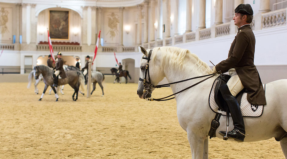 Scuola di Equitazione Spagnola La classica arte dell'equitazione